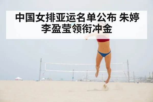 Zhu Ting Li Yingying attack
