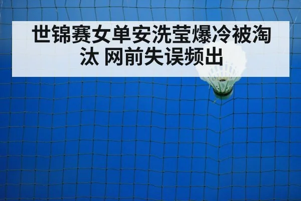badminton net shot